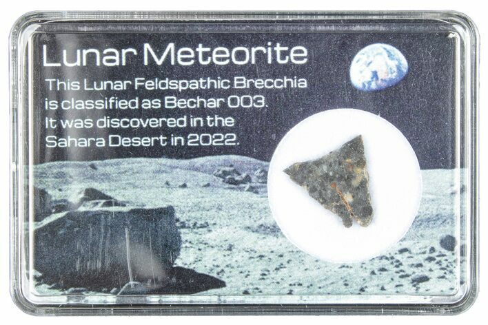 Polished Lunar Meteorite Slice ( g) - Bechar #288429